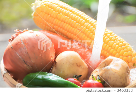 investigate, wash, washing 3403333