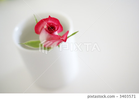 Miniature Miniature 3403571