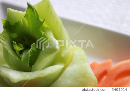 白色背景 白底 室內 3403914