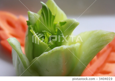 蔬菜 簡約 簡單 3404019