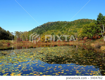 Autumn leaves of Shika Kogen Kazunuma 3404762