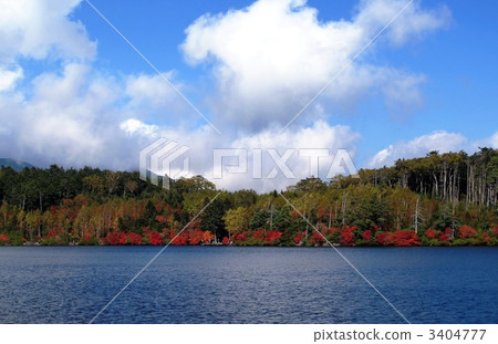 Autumn leaves of Shirakomakike Autumn leaves of Shirakomakike 3404777