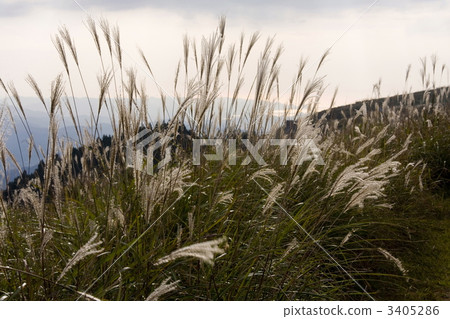 Ikkogen plateau 3405286