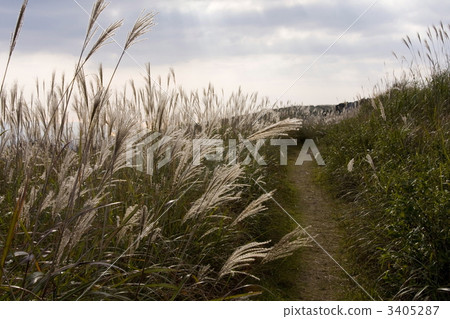 Ikkogen plateau 3405287