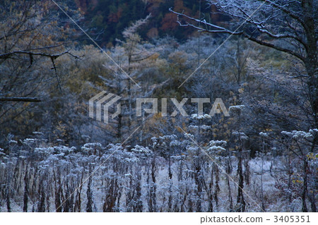 清晨田代泥潭 3405351