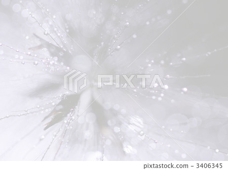 drop, drip, dew drop 3406345