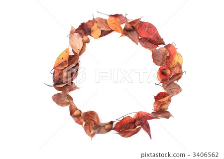 Messages on fallen leaves Messages on fallen leaves 3406562