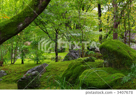 Hogon-in Temple Shishiku Garden (Ukyo Ward, Kyoto/Arashiyama) 3407678