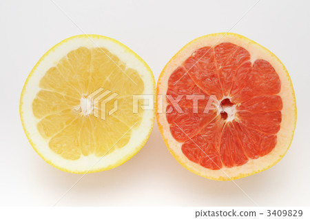 grapefruit  3409829