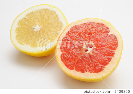 grapefruit  3409830