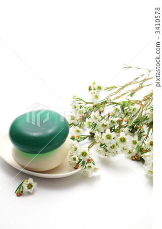 Soap and wax flower 3410578