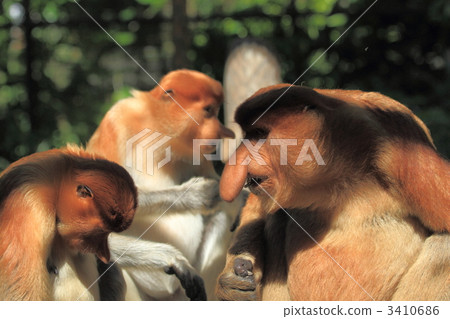 傑克滿是思考! ! 傑克滿是思考! ! 3410686