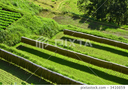 國家景觀 國家景觀 3410859