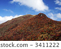 kuju mountains, maple, yellow leafe 3411222