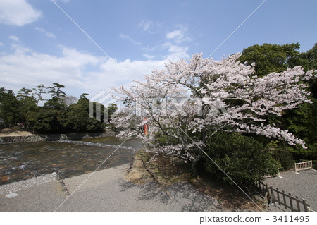 Ise Shrine and Suzu River 3411495