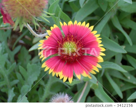 Ooten'ningiku 3412156