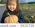 Pumpkin Harvest 3415736