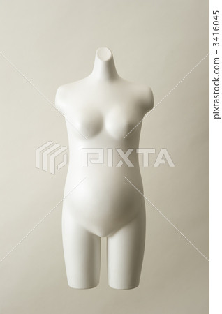 torso 3416045