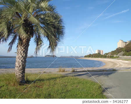 大塚沿海地區的風景 大塚沿海地區的風景 3416277