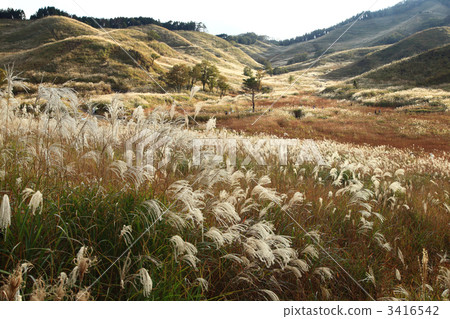 Susuki Susuki 3416542