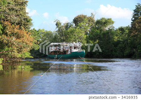 Borneo Island River Safari Borneo Island River Safari 3416935