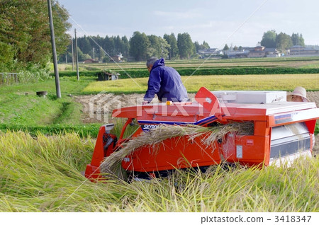Harvest scenery Harvest scenery 3418347