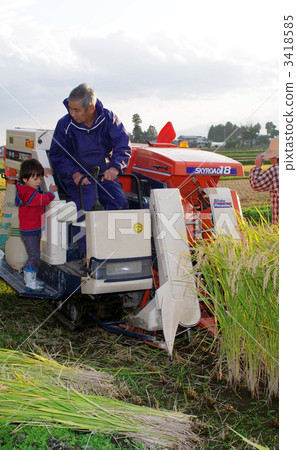 收穫風景 3418585