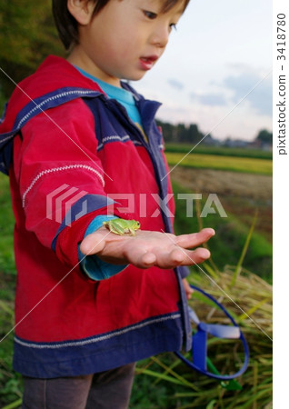 Japanese cockroach and children 3418780