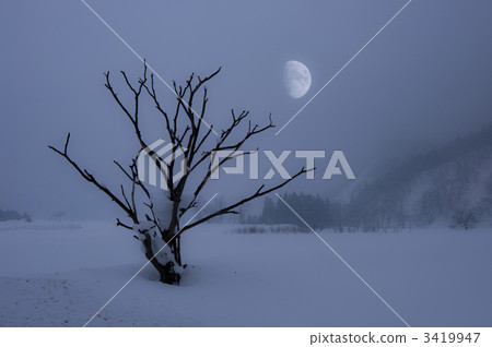 月亮和雪域景觀 3419947