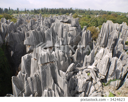 China · stone forest 3424623