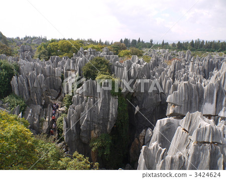 China · stone forest 3424624