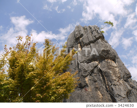 China · stone forest China · stone forest 3424630
