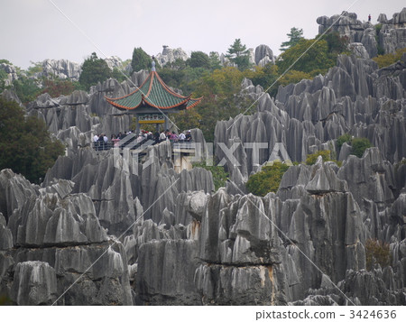 China · stone forest 3424636
