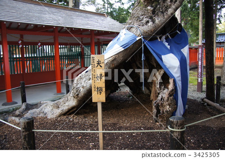 Ikushima明日香神社和一對夫婦 Ikushima明日香神社和一對夫婦 3425305