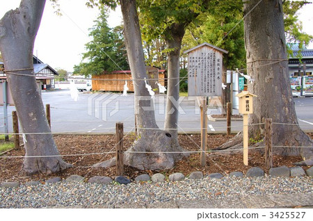 Ikushima明日香神社 3425527