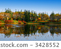shinsennuma, nature, natural 3428552