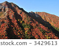 Autumn leaves of Asahigadake 3429613