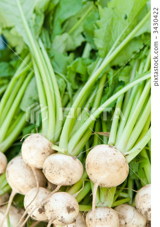 Cubs harvested 3430422