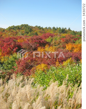 Mt. Kurikoma秋葉 Mt. Kurikoma秋葉 3430722