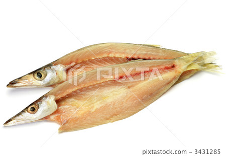 卡馬斯干魚 3431285