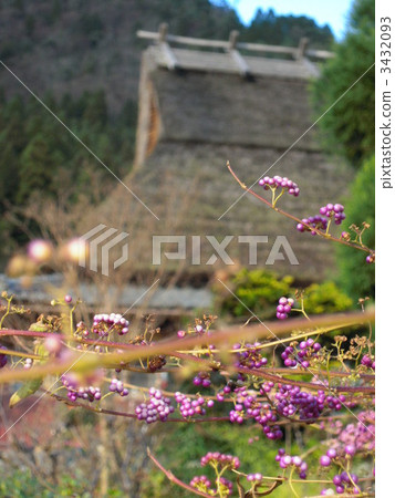 深紫 日式房屋 田園 3432093