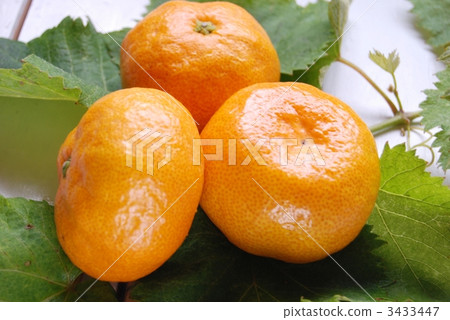 mandarin orange, mikan, citrus fruits 3433447