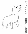 white, animal, animals 3433795