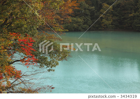 Autumn leaves of the Iwai River 3434319