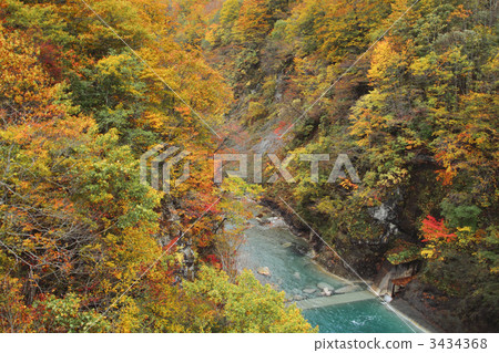 Autumn leaves of the Iwai River 3434368