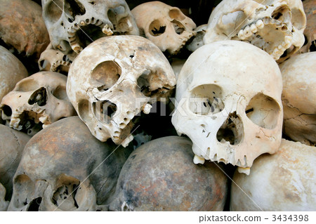 Pile of skulls 3434398