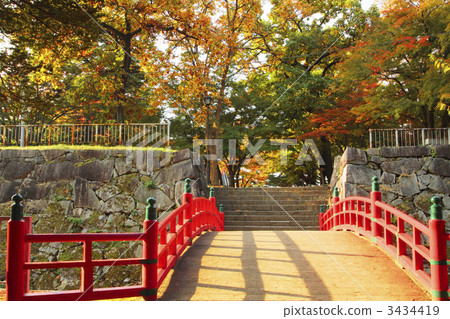 Autumn leaves of Morioka castle ruins park Autumn leaves of Morioka castle ruins park 3434419