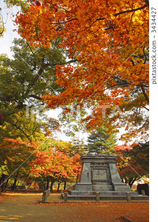 盛岡城堡秋葉公園廢墟 盛岡城堡秋葉公園廢墟 3434427