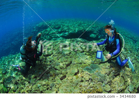 Diving course 3434680