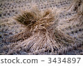 straw, agriculture, forestry, stockbreeding, hunting and fishing, rice field 3434897